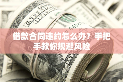 武汉借款合同违约怎么办？手把手教你规避风险