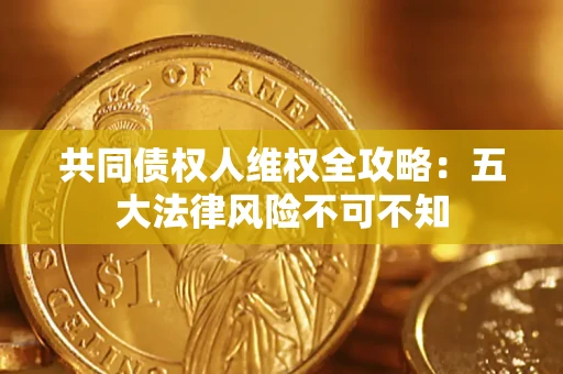 武汉共同债权人维权全攻略：五大法律风险不可不知