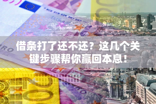 武汉借条打了还不还？这几个关键步骤帮你赢回本息！
