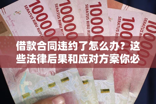 武汉借款合同违约了怎么办？这些法律后果和应对方案你必须知道