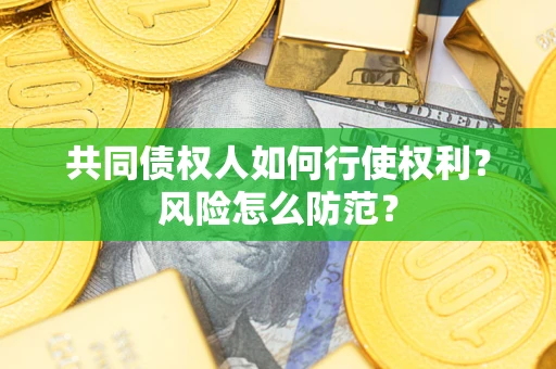 武汉共同债权人如何行使权利？风险怎么防范？