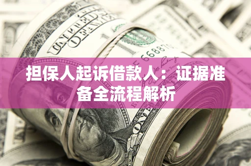 武汉担保人起诉借款人：证据准备全流程解析