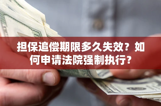 武汉担保追偿期限多久失效？如何申请法院强制执行？