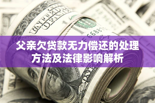 武汉父亲欠贷款无力偿还的处理方法及法律影响解析