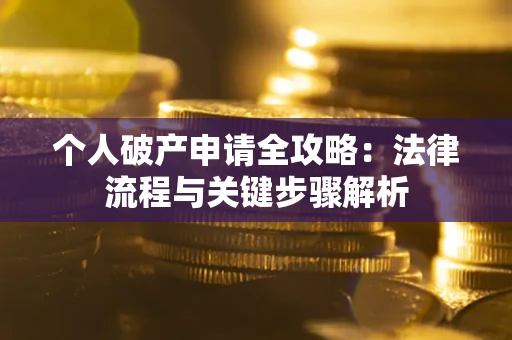 武汉个人破产申请全攻略：法律流程与关键步骤解析