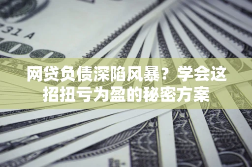 武汉网贷负债深陷风暴？学会这招扭亏为盈的秘密方案