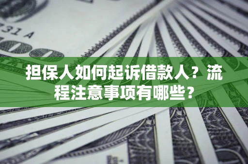 武汉担保人如何起诉借款人？流程注意事项有哪些？